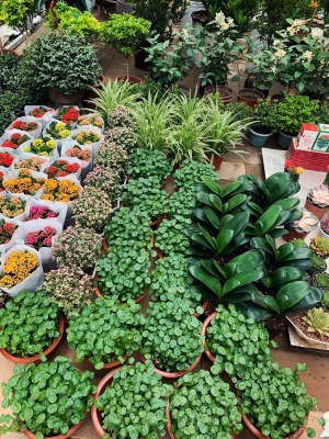 赤峰院子咖啡廳電話多少號-第1張圖片