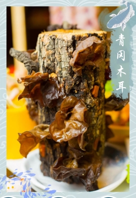 赤峰劍庭火鍋店電話地址查詢-第1張圖片