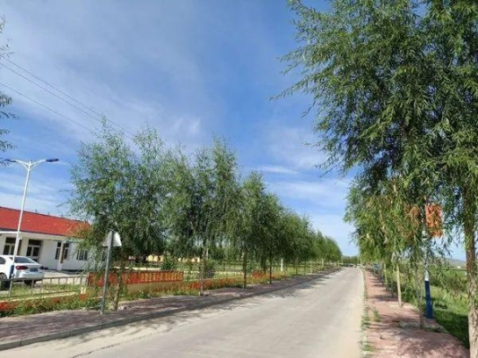 赤峰阿旗餡餅店電話多少號(hào)-第1張圖片