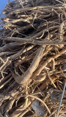 赤峰黃芪加工廠電話號(hào)碼查詢-第1張圖片