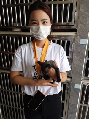 赤峰流浪貓狗救助站-第1張圖片