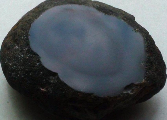 赤峰輕基質(zhì)網(wǎng)袋廠家聯(lián)系電話號碼-第1張圖片