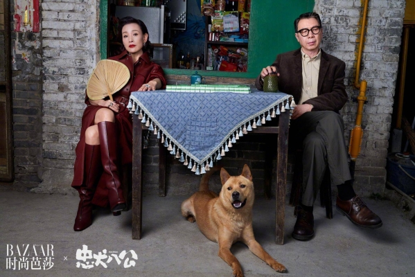 赤峰芭莎狗狗店電話號(hào)碼多少-第1張圖片