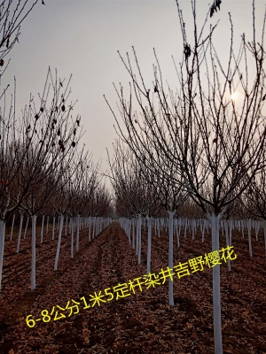 赤峰快修料廠家批發(fā)電話號碼-第1張圖片