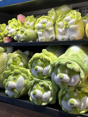 赤峰摩爾城小奶龍店電話(huà)號(hào)碼-第1張圖片