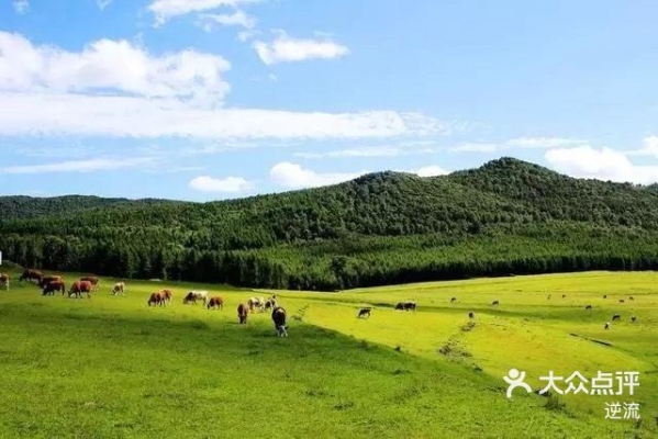 赤峰錦山租電動(dòng)車電話號(hào)碼-第1張圖片