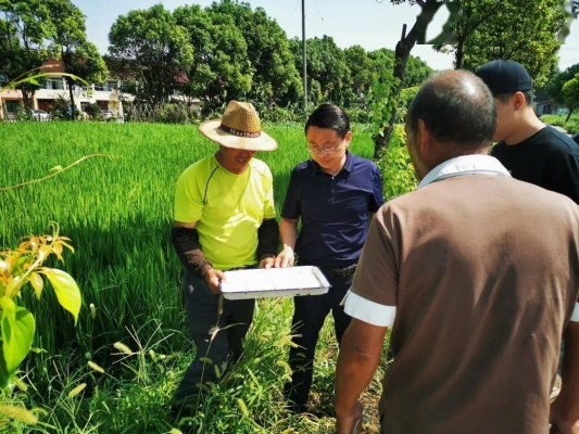 赤峰市如意糧行電話號(hào)碼查詢-第1張圖片