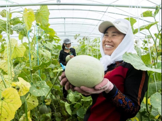 赤峰回古魯板蒿客車電話號碼-第1張圖片