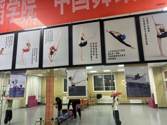赤峰舞蹈機(jī)構(gòu)-第1張圖片