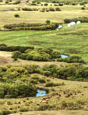 赤峰艾美民宿電話號碼多少-第1張圖片