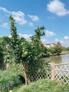 赤峰市釣魚(yú)釣場(chǎng)地址電話(huà)號(hào)碼-第1張圖片