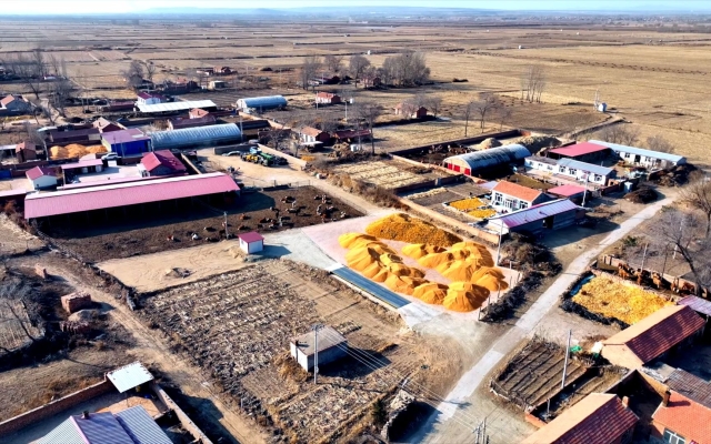 赤峰四道彎疫情防控電話號(hào)碼-第1張圖片