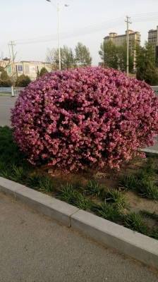 赤峰市百柳超市電話號碼-第1張圖片