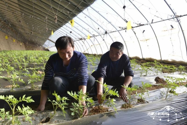 赤峰萬青合作社地址電話號碼-第1張圖片