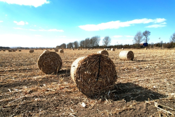 赤峰市安慶溝鎮(zhèn)飯店電話號碼-第1張圖片