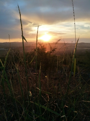 赤峰平莊夜騎隊(duì)電話地址查詢-第1張圖片