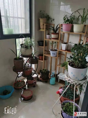 內(nèi)蒙古赤峰瑞泰物業(yè)電話號碼-第1張圖片