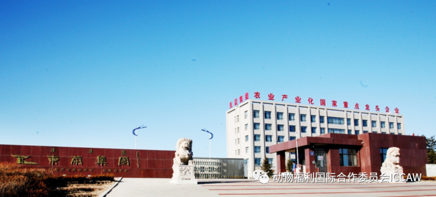 赤峰東新按摩館電話號碼多少-第1張圖片