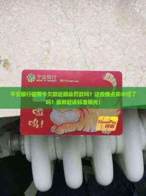 赤峰信用卡欠款查詢電話號(hào)碼-第1張圖片