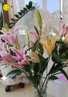 赤峰鮮花花束團(tuán)購(gòu)電話號(hào)碼-第1張圖片