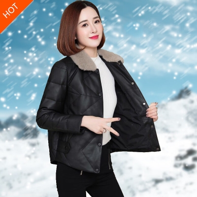 赤峰市皮衣制作店電話號(hào)碼-第1張圖片