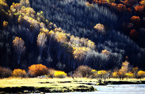 開(kāi)原去赤峰旅行團(tuán)電話號(hào)碼是多少-第1張圖片