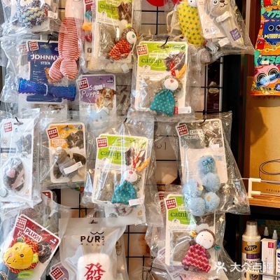 赤峰探店寵物店地址電話號碼-第1張圖片