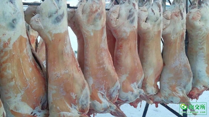 赤峰雞屠宰場(chǎng)聯(lián)系電話號(hào)碼-第1張圖片