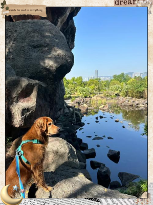 赤峰露營(yíng)基地價(jià)格查詢電話號(hào)碼-第1張圖片