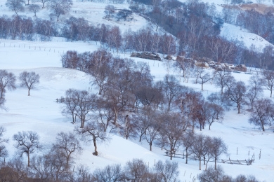 赤峰烏蘭布統(tǒng)飯店電話號(hào)碼多少-第1張圖片