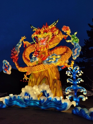 赤峰通安駕校電話多少號碼-第1張圖片