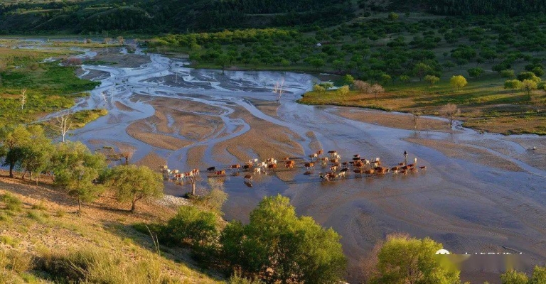 赤峰阿旗納豆廠地址電話號(hào)碼-第1張圖片