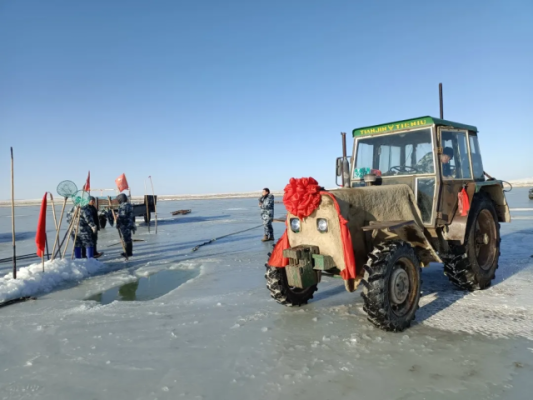 赤峰鞭炮供應商電話號碼查詢-第1張圖片