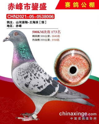 赤峰信鴿拍賣網(wǎng)官網(wǎng)電話號(hào)碼-第1張圖片