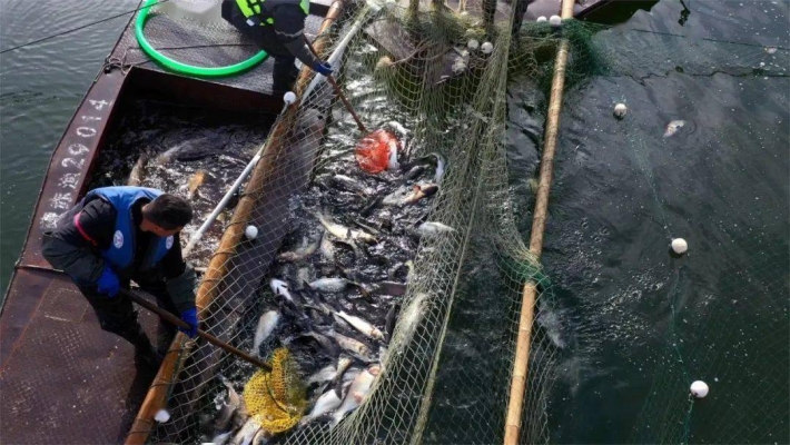 赤峰紫蒙湖路況查詢電話號碼-第1張圖片