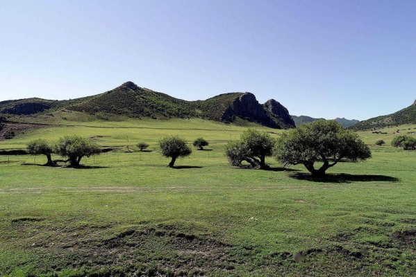 赤峰玉龍無人機(jī)廠家電話號碼-第1張圖片