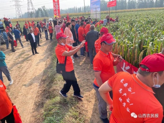 赤峰市谷子研究所電話號(hào)碼-第1張圖片