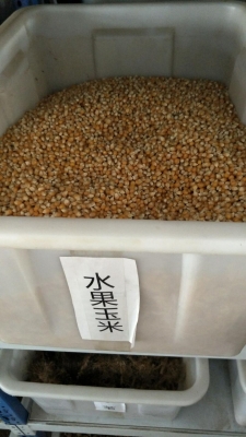 赤峰回收玉米種子電話號(hào)碼-第1張圖片