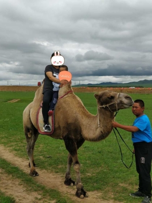 赤峰林西奶牛場招聘電話號(hào)碼-第1張圖片