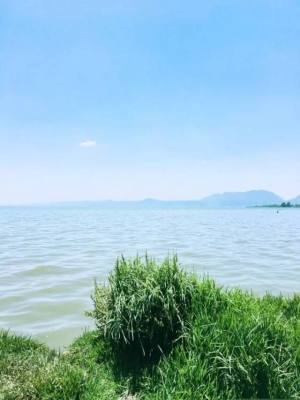 赤峰市撈魚地址查詢電話號碼-第1張圖片