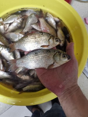 赤峰市野河釣魚地點(diǎn)電話號(hào)碼-第1張圖片