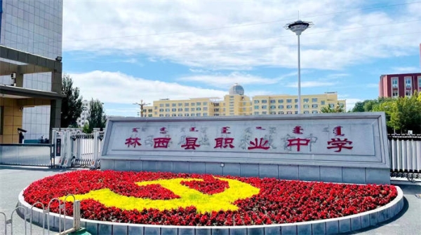 赤峰市林西縣醫(yī)保電話號(hào)碼-第1張圖片