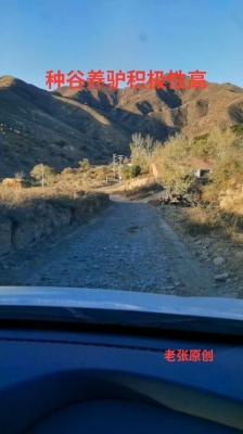 赤峰敖漢養(yǎng)驢基地電話多少-第1張圖片