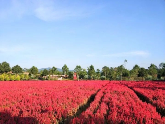 赤峰衣家營垂釣園地址電話號碼-第1張圖片