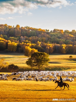 內(nèi)蒙古赤峰市張常宏視頻-第1張圖片