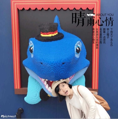 赤峰樂高游樂場電話地址查詢-第1張圖片