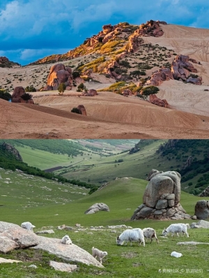 赤峰市黨支部電話-第1張圖片