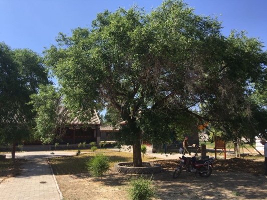 赤峰巴林右旗居委會電話是多少-第1張圖片