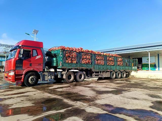 赤峰林西養(yǎng)殖合作社電話(huà)號(hào)碼-第1張圖片