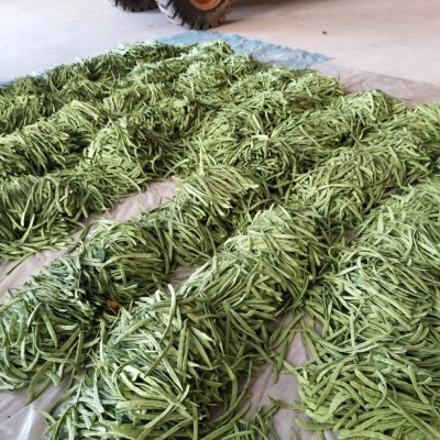 赤峰豆角絲機廠家電話號碼是多少-第1張圖片